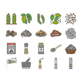 Black Pepper Aromatic Hot Spice Icons Set Vector