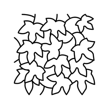 hedera helix line icon vector illustration