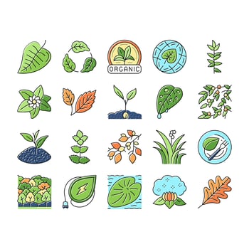 Leaf Branch Natural Foliage Tree Icons Set Vector