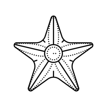 starfish beach summer line icon vector illustration