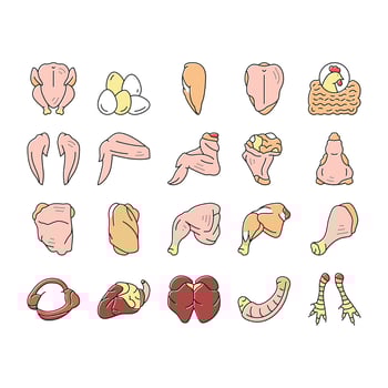 Chicken Animal Farm Raw Meat Food Icons Set Vector