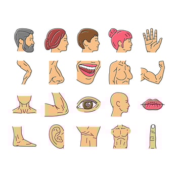 Body And Facial People Parts Icons Set Vector