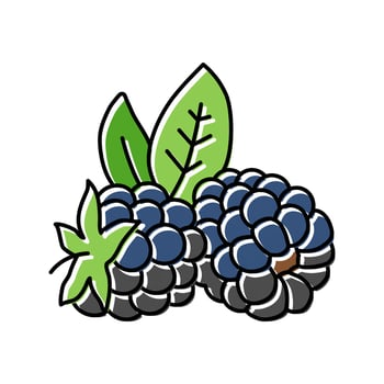 ripe blackberry leaf color icon vector illustration
