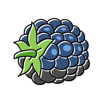 blackberry berry leaf color icon vector illustration