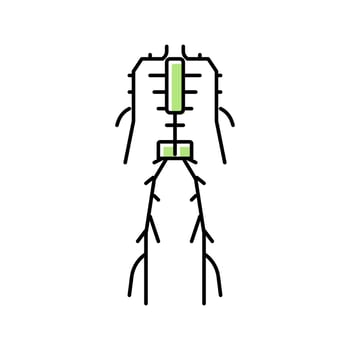 lymphatic system color icon vector illustration