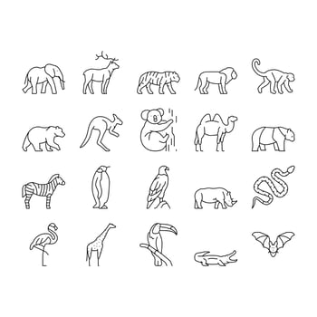 Zoo Animals, Birds And Snakes Icons Set Vector