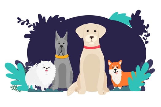 Cartoon dogs corgi banner landing page spitz, french mastiff, labrador vector