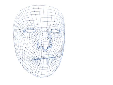 3 D Human head medical scan. Model wireframe png