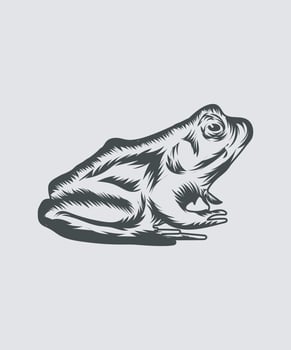 Frogs vector black