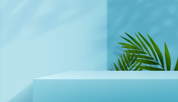 Blue Wall Background with coconut palm leaves,3D Display Studio with tropical leaf shadow,Gallery room with sunlight overlay on wall,Vector design Product background for Spring,Summer presentation vector