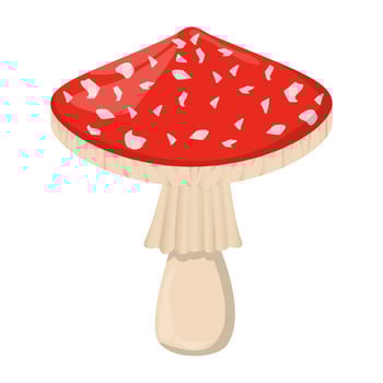 Fly agaric mushroom. Edible Organic mushrooms. Truffle brown cap. Forest wild mushrooms types. Colorful vector illustration isolated on white background.