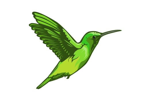 Humming Bird green vector illustration
