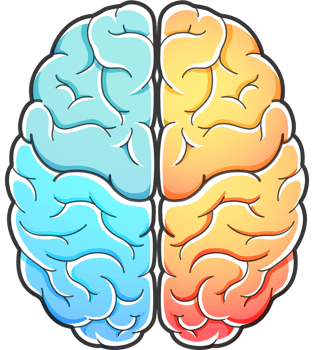 Human brain symbol png