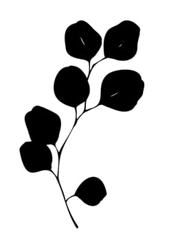 Hand drawn eucalyptus tree branch silhouette illustration on white background flat vector illustration.