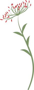 Colorful flower element png