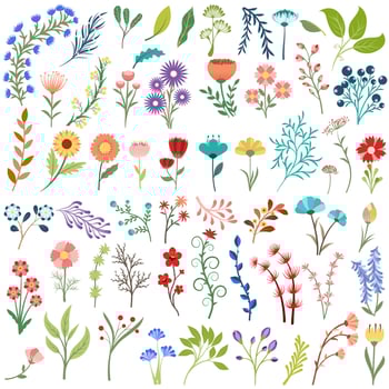 Colorful spring flower collection vector