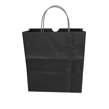 3D Rendering Of Paper Bag png