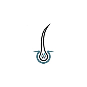 hair follicle symbol vector