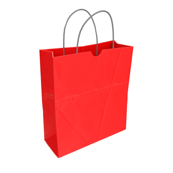 3D Rendering Of Paper Bag png
