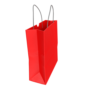 3D Rendering Of Paper Bag png