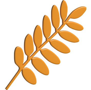 3d icon of leaf png
