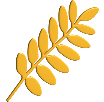 3d icon of leaf png