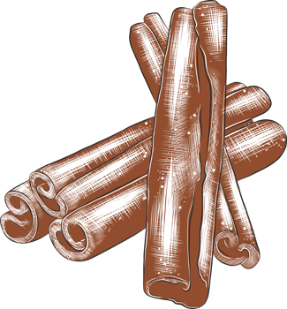 PNG engraved style illustration for posters, decoration and print. Hand drawn sketch of cinnamon in colorful. Detailed vegetarian food drawing.