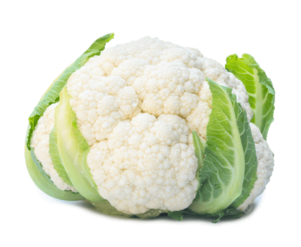 Close up of single fresh ripe white cauliflower head with some green leaves isolated with clipping path and shadow in png file format, Organic vegetable,
