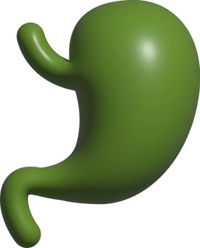 3d icon of stomatch png