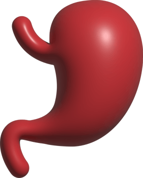 3d icon of stomatch png