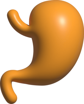 3d icon of stomatch png