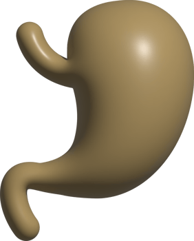3d icon of stomatch png