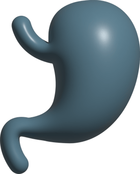 3d icon of stomatch png