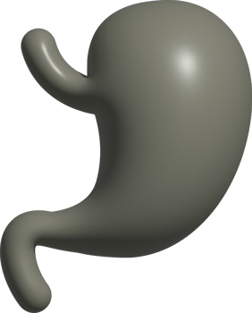 3d icon of stomatch png