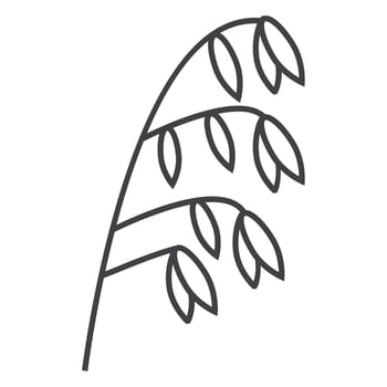 Oatmeal spikelet, grain icon vector. Rye, wheat, oat plant in outline vector