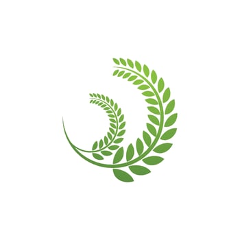 Agriculture wheat Logo vector