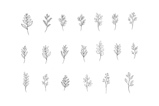 Botanical Line Art Illustrations. Natural and Hand Drawn Designs for Invitations, Posters, and Digital Art vector