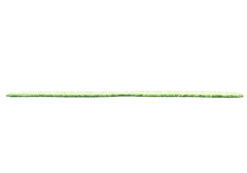 Realistic foliage isolated on transparent background. 3d rendering - illustration png