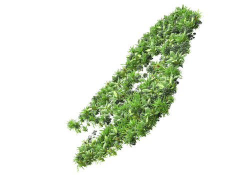 Realistic foliage isolated on transparent background. 3d rendering - illustration png