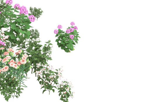 Grass with flowers isolated on transparent background. 3d rendering - illustration png