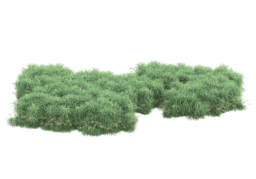 Realistic foliage isolated on transparent background. 3d rendering - illustration png