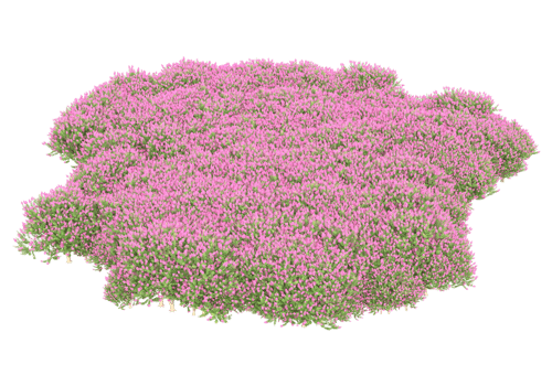 Grass with flowers isolated on transparent background. 3d rendering - illustration png