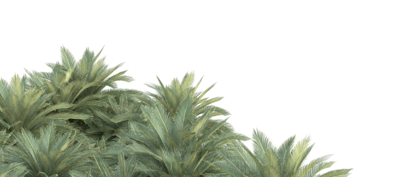 Realistic foliage isolated on transparent background. 3d rendering - illustration png
