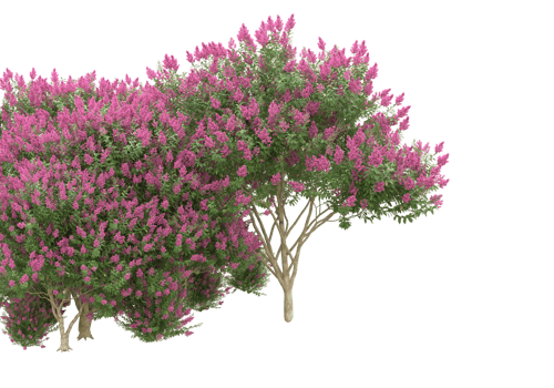 Grass with flowers isolated on transparent background. 3d rendering - illustration png