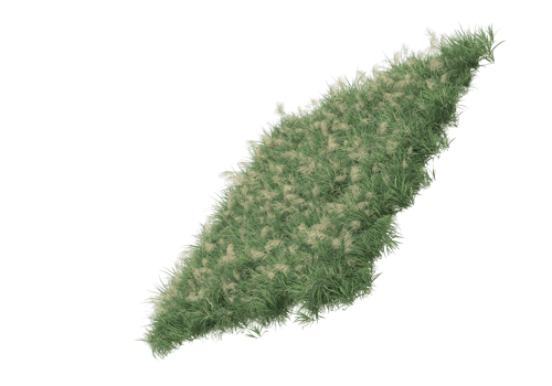Grass with flowers isolated on transparent background. 3d rendering - illustration png