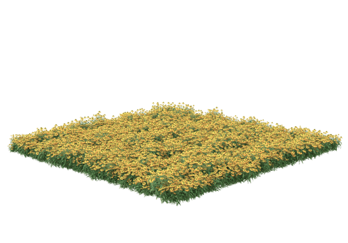 Grass with flowers isolated on transparent background. 3d rendering - illustration png