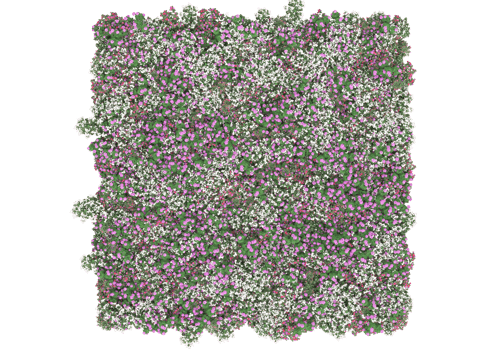 Grass with flowers isolated on transparent background. 3d rendering - illustration png