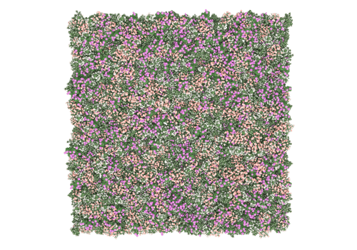 Grass with flowers isolated on transparent background. 3d rendering - illustration png