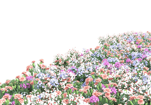 Grass with flowers isolated on transparent background. 3d rendering - illustration png