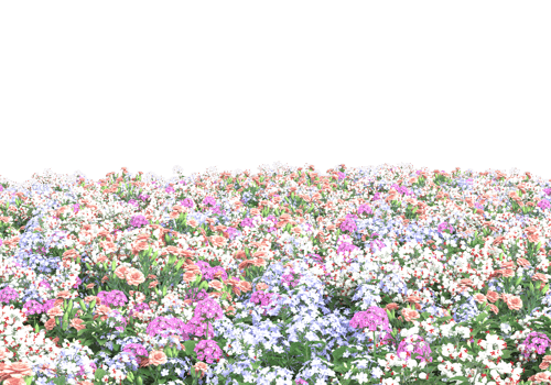 Grass with flowers isolated on transparent background. 3d rendering - illustration png